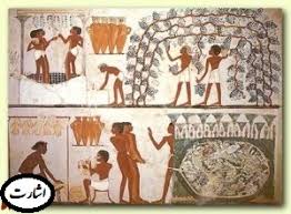 تاریخ طب در مصر باستان فرایندهای مومیایی و جراحی که به وسیله مصریهای باستان صورت می‌گرفت موجب حیرت متخصصین عصر ما شده است. بیشتر بیماریها براتی آنها شناخته شده و قابل درمان بوده است. به نظر آنها ارواح و خدایان در مسیر بیماریها نقش داشتند.